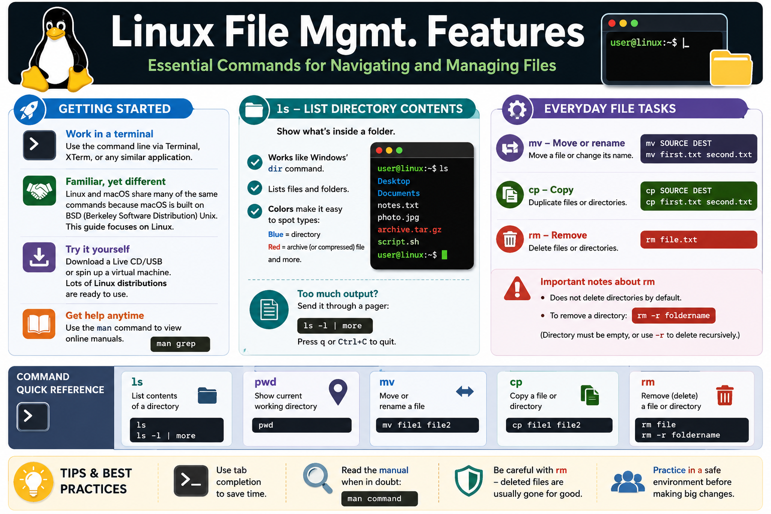Linux file management features infographic covering ls, pwd, mv, cp, rm, man, terminal practice, and file command safety